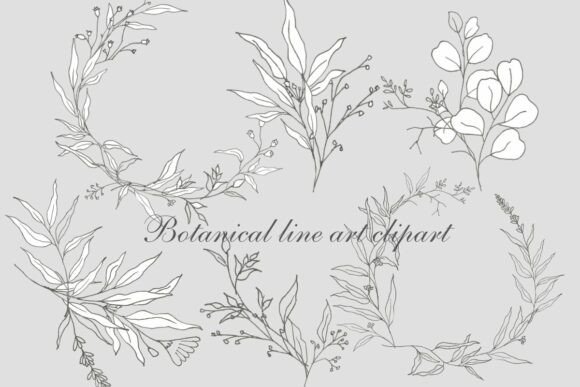 Download Minimalist Leaf and Floral Outline PNGs - Premium Bundle