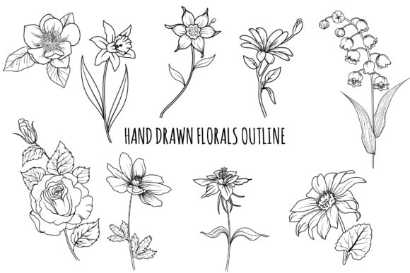 Download Floral Outline Hand Drawn Bundle - Premium Resources